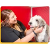 The Dog Stop - Colorado Springs Airport gallery