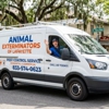 Animal Exterminators of Lafayette gallery