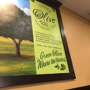 Green Olive Mediterranean Cuisine