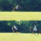 Leprechaun Lane Training Center