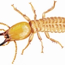 Bobbi Ray's Termite & Pest Control - Bee Control & Removal Service