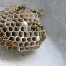 Vanish Pest & Weed Control - Termite Control