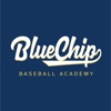 Blue Chip Baseball Academy gallery