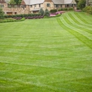 Precision Lawn Maintenance - Lawn Maintenance
