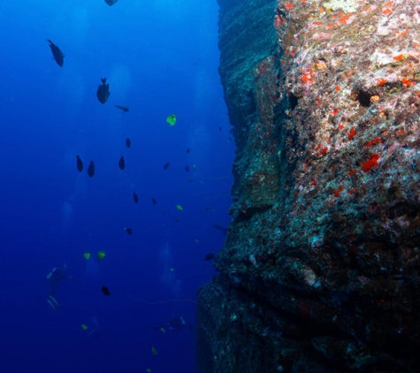 Fathom Five Divers - Koloa, HI