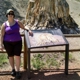 Florissant Fossil Beds National Monument