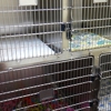 VCA Swartz Creek Animal Hospital gallery