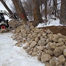 Sticks & Stones Inc