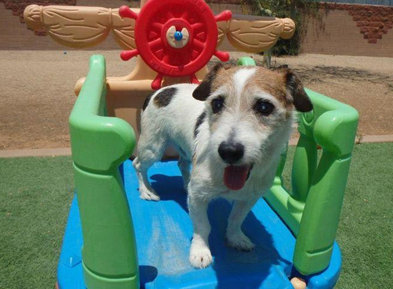 Boulder Falls Pet Resort - Phoenix, AZ