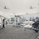 Ascend at McKinney North
