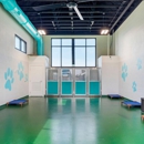 Pet Paradise