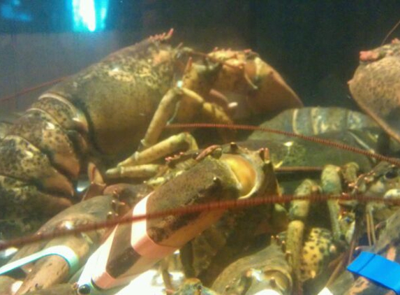 Red Lobster - Tacoma, WA