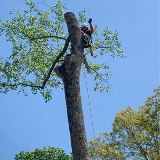 ArborPro Tree Service - Granite Falls, NC