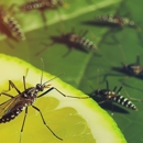 Hoke Pest Control - Pest Control Equipment & Supplies