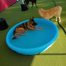 Pupsi Inc.