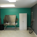 Four Fancy Feet Dog Grooming - Pet Services