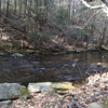 Mashamoque Brook State Park gallery