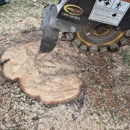Elite Land Solutions - Tree Service