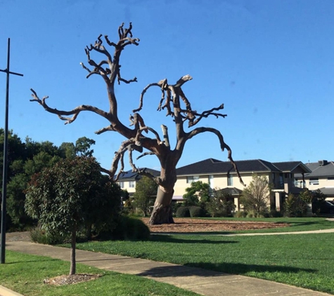 Radial Tree Solutions - Leongatha, VIC