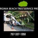 Virginia Beach Tree Service Pros - Tree Service