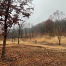 ClearCut