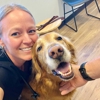 South Lake Vet gallery