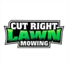 Cut Right Lawn Mowing gallery