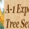 A-1 Expert Tree Service gallery