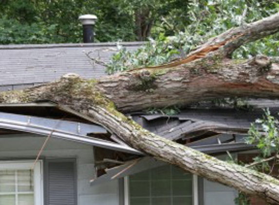 Sundollar Restoration - Carmel, IN