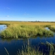 Marine Nature Study Area