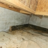Water Damage, Inc. gallery