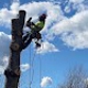 Tree Tech NW