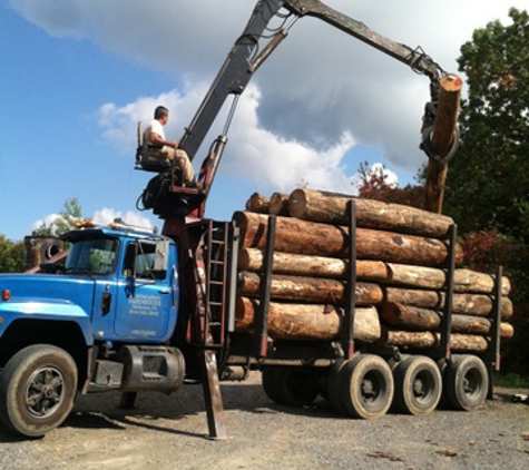 Dead Wood Lumber Company Inc. - Morrisdale, PA