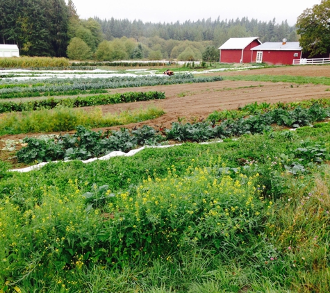 The Orchard Kitchen - Langley, WA