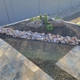 Desert Vine Landscaping