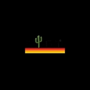 CactusOil