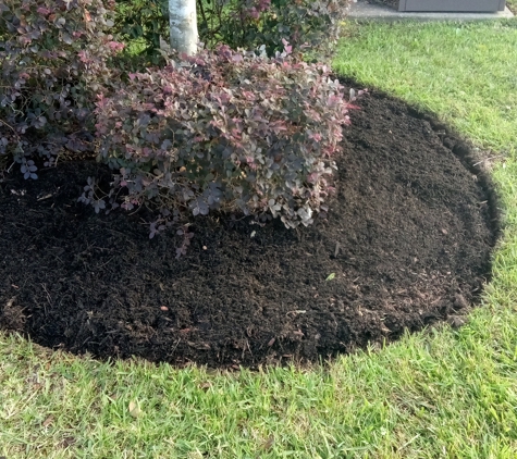 Number One Lawn Service - Beaumont, TX. Bed Redefining