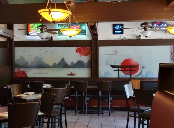 Tokyo Mizu - Arlington, TX