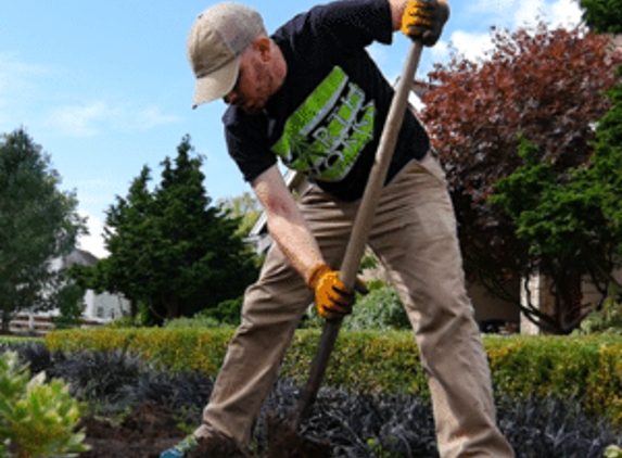 Earthworks Tree Service - Mount Vernon, WA