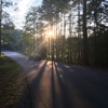 Lake Norman State Park gallery