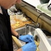 Chicago Dental Assistant School - Orland Park gallery