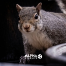 Alpha Wildlife Chattanooga - Pest Control Equipment & Supplies