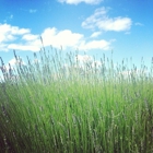 Sauvie Island Farms