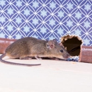 North Shore Mice Patrol - Inspection Service