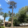 All Valley Tree Service & Landscaping, LLC gallery