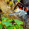 Dade Pro Tree Service gallery