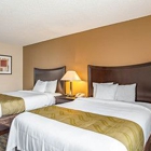 Comfort Inn & Suites Pacific - Auburn