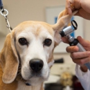 Emmerson Animal Hospital - Pet Services