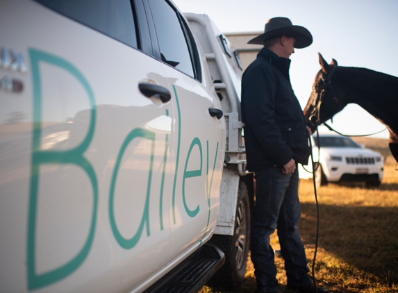 Baileys Property & Livestock - Singleton, NSW