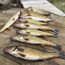 Jack's Charter Service - Fishing Charters & Parties